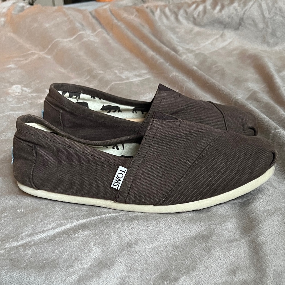 Toms Chocolate Canvas Slip-Ons